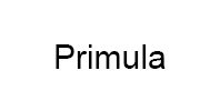 Ремонт кофемашины модели Primula в Москве Ремонт кофемашин Primula